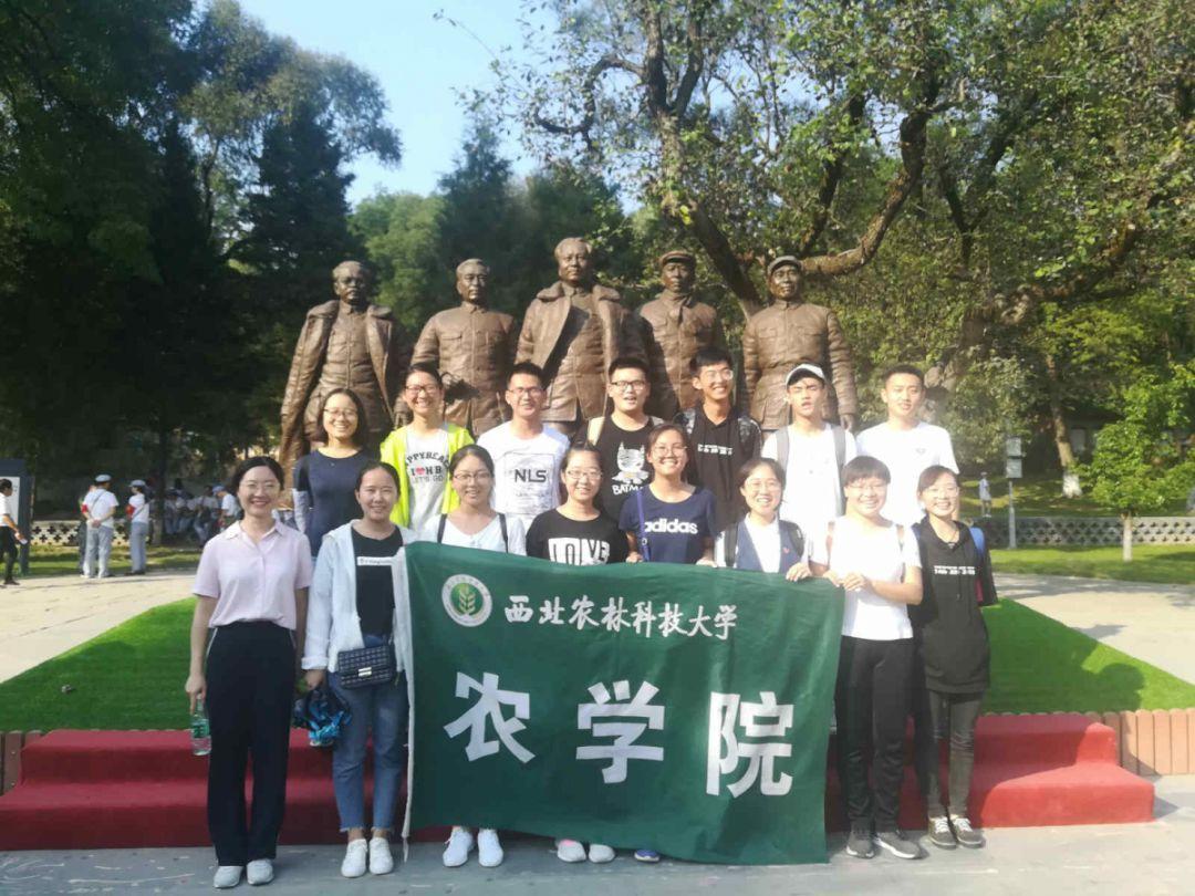 科目三的通过率是多少?- 探索无限智慧的问答平台